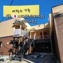 미도리하우스 이미지