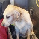 유폴 평택지제역점 이미지