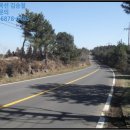 제주오름태양광발전소 이미지