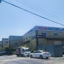 불막열삼 이미지