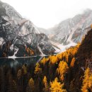 개나리낚시공원 이미지