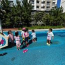 경희대태권도장 이미지