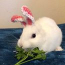 뉴진주세탁소 | 집 가다가 치킨 뜯긴 썰