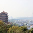 전통 문인화 | 중국 문학사에서 본 명대 문인화와 시화의 융합