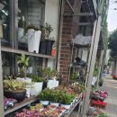 한려 | 여수꽃집 기분 좋은 꽃선물 맛집 한려꽃직매장 내돈내산 후기 🌸