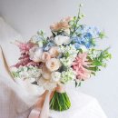 비단향꽃무 이미지