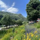 삼탄슈퍼민박 이미지