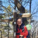 대전둘레산길(1구간) 이미지