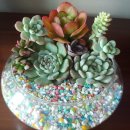 주월1동 행정복지센터 이미지