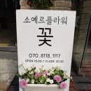 소예르플라워 이미지