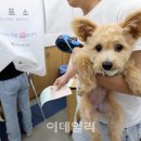 멍멍이네 - 경산시 대학로 385 | 멍멍이네