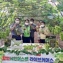 샤인커머스