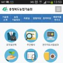 충북장터