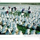 황산농협미곡처리장 이미지