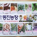 차랑농장 이미지