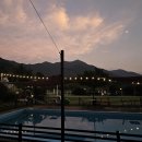 행복 애견방 이미지