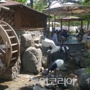 유성온천 이미지