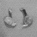 두리종합동물병원 이미지