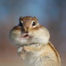 11215-중곡4-247 | 저렴하게 먹을 수 있는 Top 10 레스토랑! _ 뉴욕 생활 정보