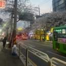 후킹실내바다낚시