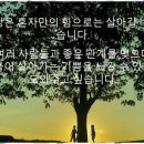 아이비어린이집 이미지