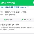 동숲 코엑스 아쿠아리움 주말 오픈런 후기