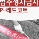 주정차043 네이버블로그