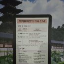71 | 부여 제71회 백제문화제 폐막식 후기