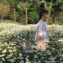 꽃향기 머무는 곳 이미지