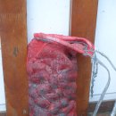 농어바위펜션 이미지