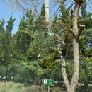 에버힐GC 이미지