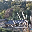 조정서원 | 2025.11.14 [蒼霞哀歌] 삼강서원 feat. 오우정