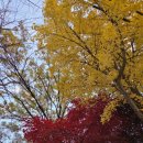 달이네찬 이미지