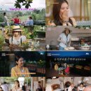 가브리엘농장 이미지