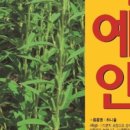 예안슈퍼 이미지