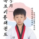 포미비룡태권도장 이미지