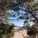 서해여인숙 이미지