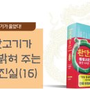 대한사관의 진실(16): 박혁거세의 모母 파소의 신원,궁예의 성을 밝혀 준다! 이미지