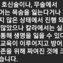 "제가 얼마나 오만하고 무모했는지 깨달았습니다" - 칼라 세미나 자기방어 훈련 후기