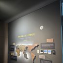 놀이마당 | 고령 아이랑 가볼만한곳 소리체험관 예약 방법 + 놀이마당 후기