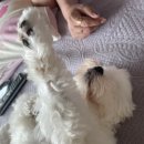 댕겨오시개 | [일상이야기] 21.09.23