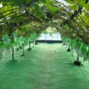 대간물농장 이미지