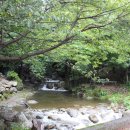 제일송어산장 이미지