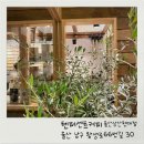 텐퍼센트커피울산삼산현대점