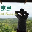 (주)코코투어