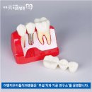 이앤미치과기공소 이미지