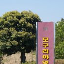 표선농협성읍지점 이미지