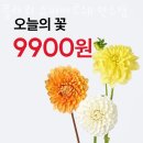 플라워슈퍼마르쉐 이미지