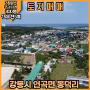 주문진시장약국 이미지