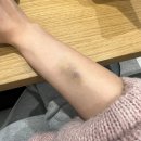 흑백세탁 이미지